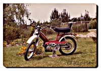 mon 103 (avant toute modif moteur)